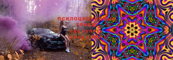 индика Балабаново