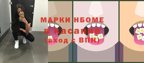 индика Балабаново