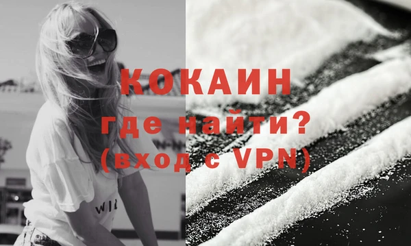 индика Балабаново