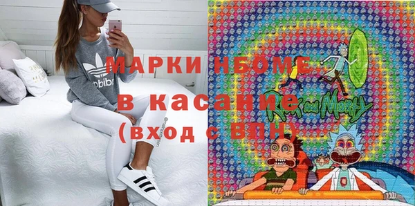 индика Балабаново