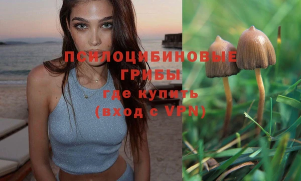 индика Балабаново