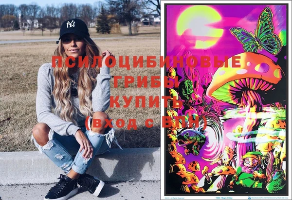 индика Балабаново