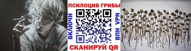 где можно купить Ладушкин Псилоцибиновые грибы GOLDEN TEACHER